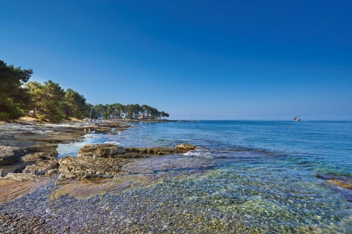 zobacz camping - zdjęcie 11