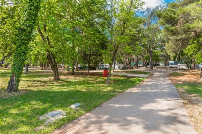 zobacz camping - zdjęcie 19