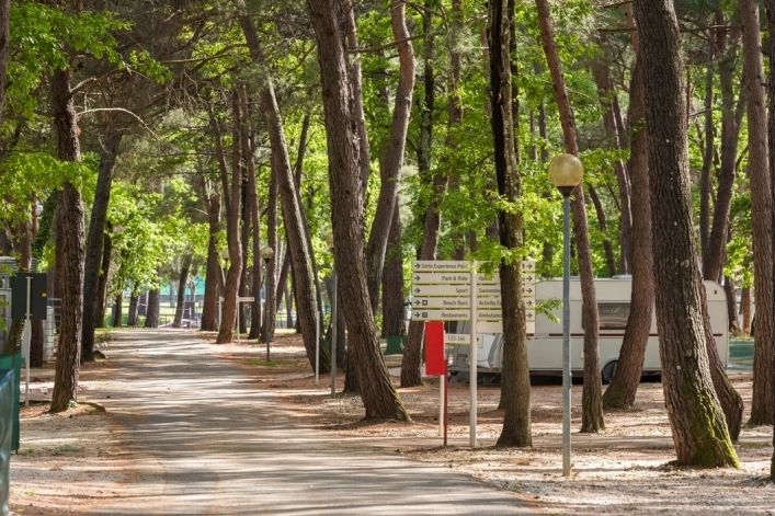 zobacz camping - zdjęcie 15