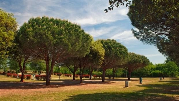 zobacz camping - zdjęcie 14