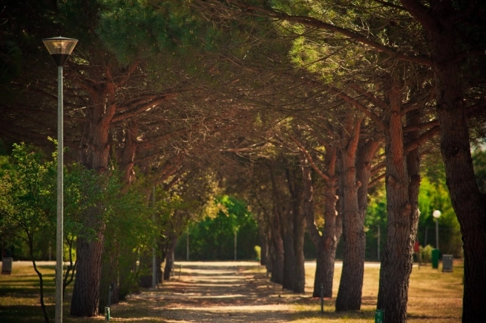 zobacz camping - zdjęcie 10