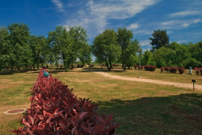 zobacz camping - zdjęcie 9