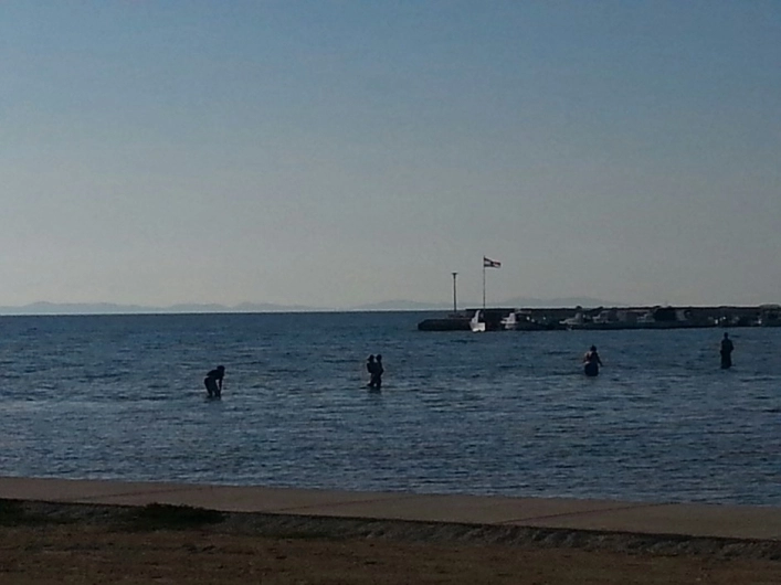 zobacz camping - zdjęcie 14