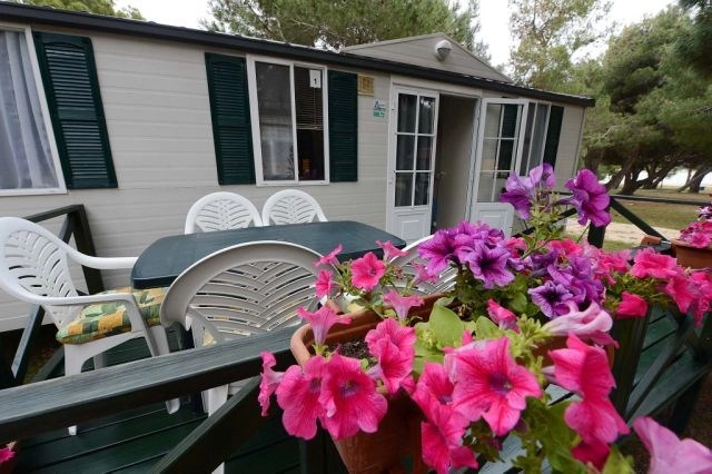 zobacz camping - zdjęcie 7