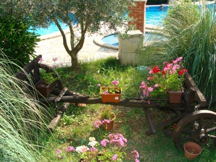 zobacz camping - zdjęcie 10