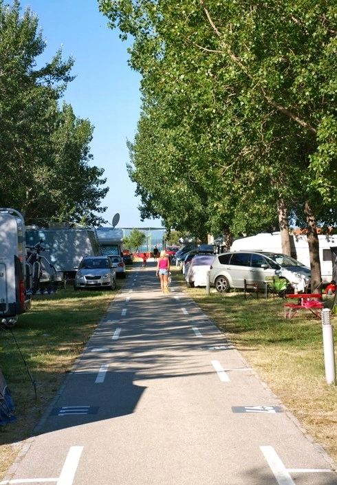 zobacz camping - zdjęcie 18