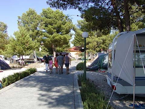 zobacz camping - zdjęcie 15