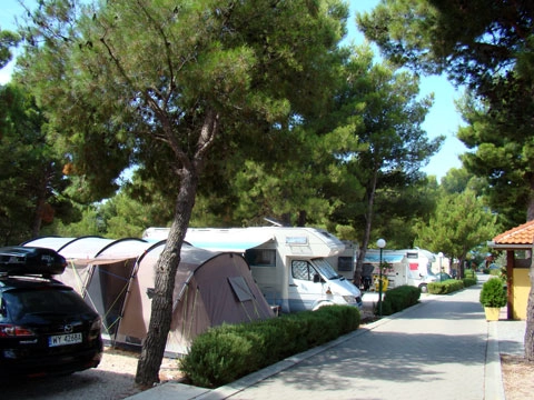 zobacz camping - zdjęcie 12