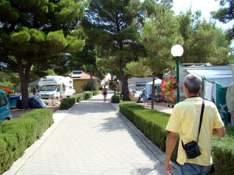 zobacz camping - zdjęcie 11