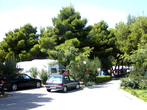 zobacz camping - zdjęcie 4