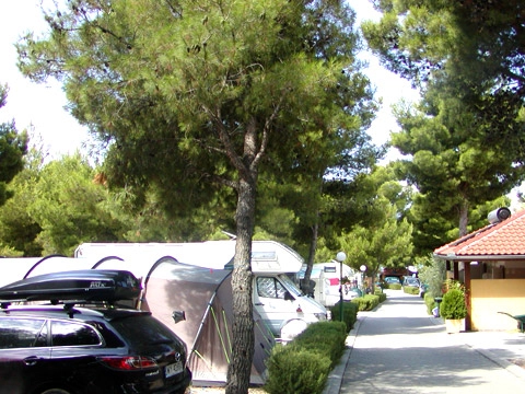 zobacz camping - zdjęcie 3