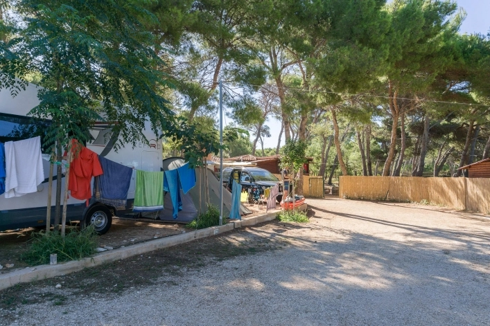 zobacz camping - zdjęcie 33