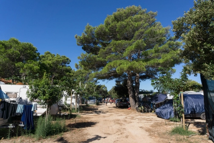 zobacz camping - zdjęcie 19