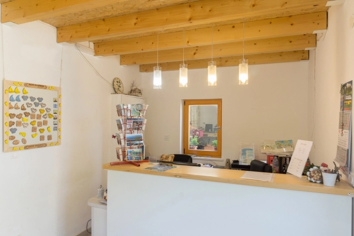 zobacz camping - zdjęcie 6