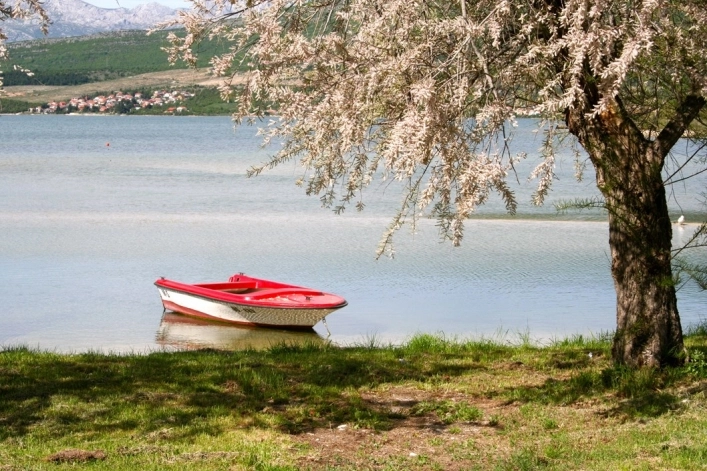 zobacz camping - zdjęcie 19