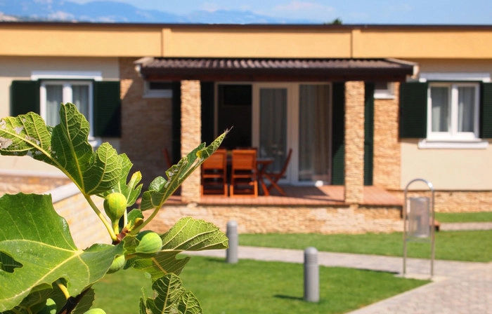 zobacz camping - zdjęcie 6