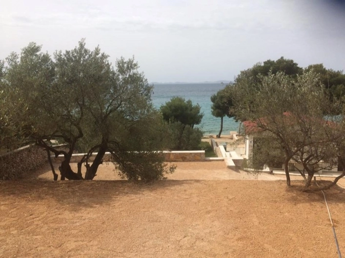 zobacz camping - zdjęcie 20