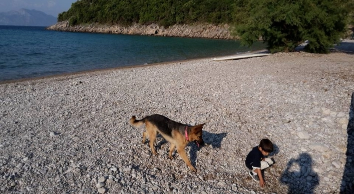 zobacz camping - zdjęcie 13