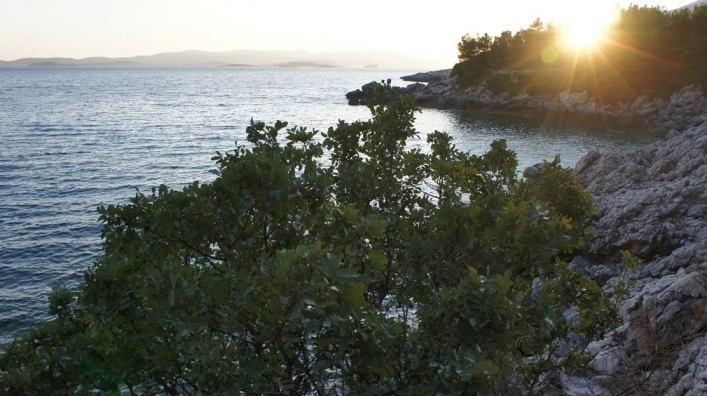 zobacz camping - zdjęcie 7