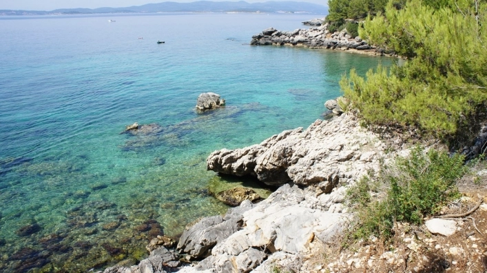 zobacz camping - zdjęcie 6