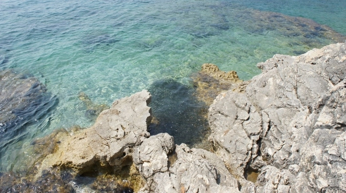 zobacz camping - zdjęcie 4