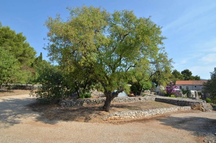 Mini-camping Potirna - zdjęcie 1