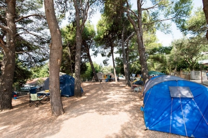 zobacz camping - zdjęcie 3