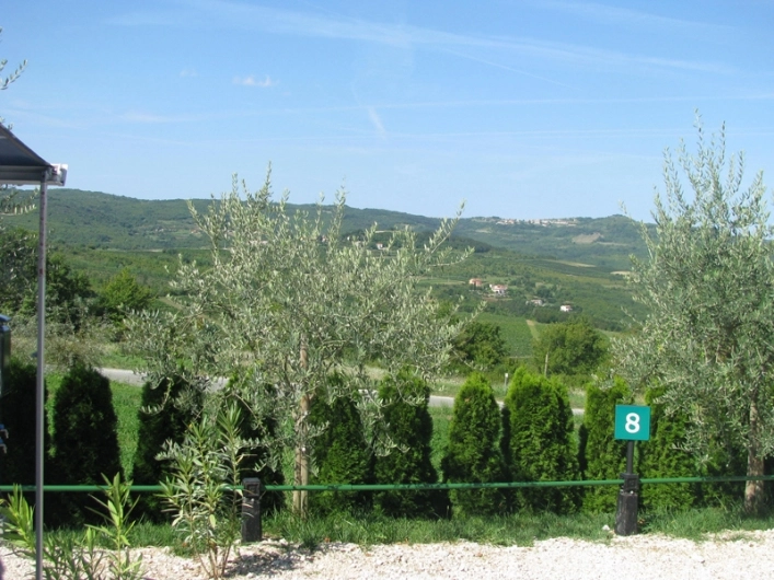 zobacz camping - zdjęcie 5