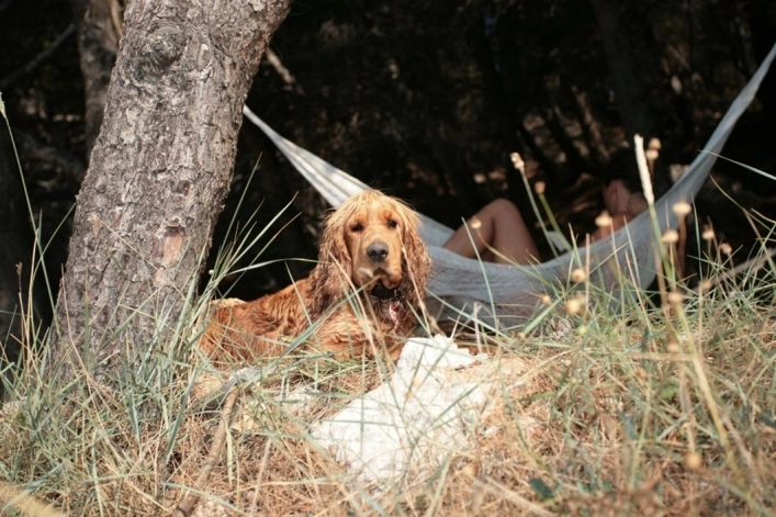 zobacz camping - zdjęcie 12