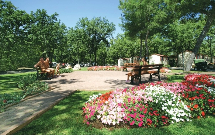 zobacz camping - zdjęcie 19