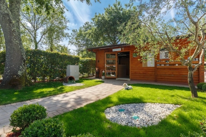 zobacz camping - zdjęcie 12