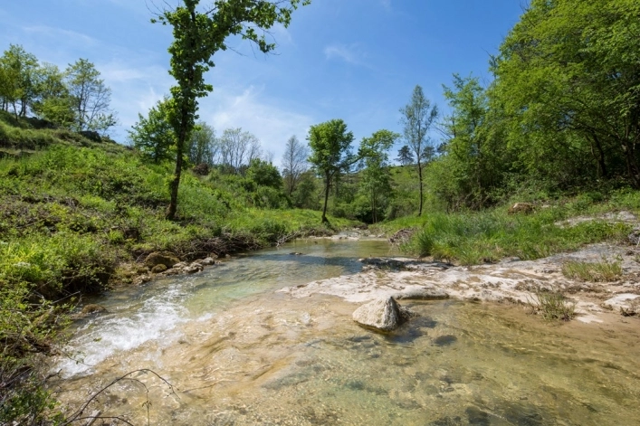 zobacz camping - zdjęcie 6