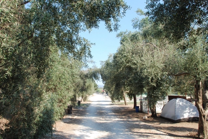 zobacz camping - zdjęcie 7