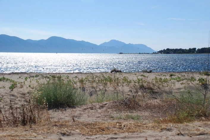 zobacz camping - zdjęcie 6