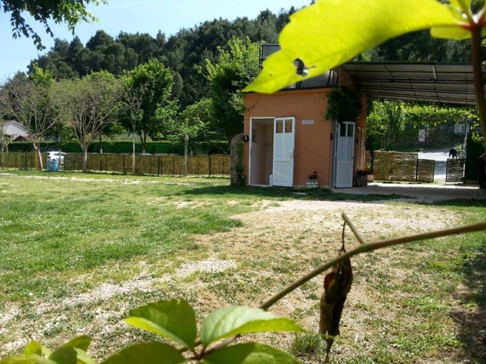 zobacz camping - zdjęcie 4