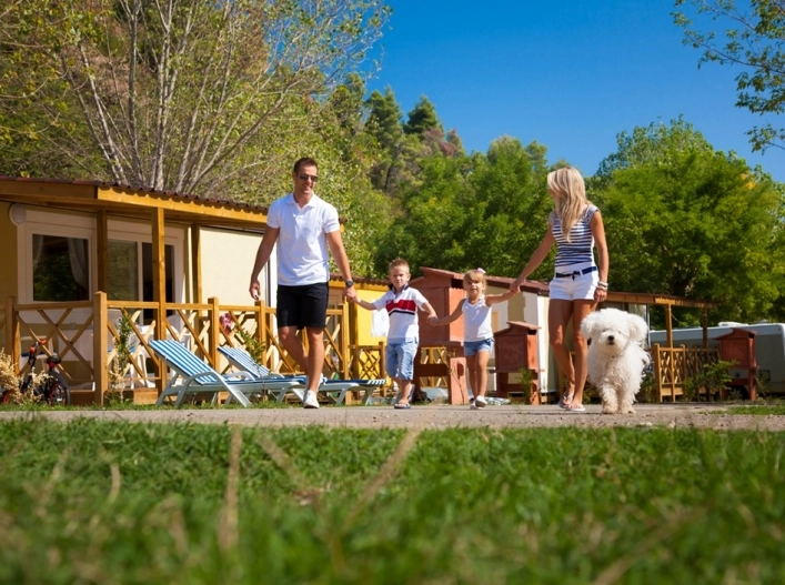 zobacz camping - zdjęcie 27