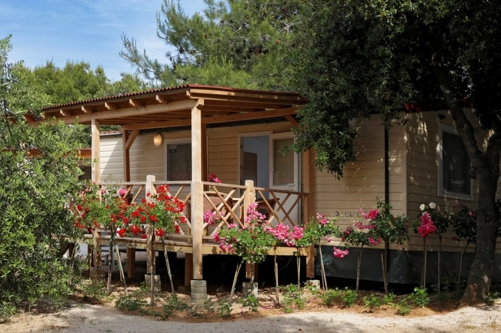 zobacz camping - zdjęcie 3