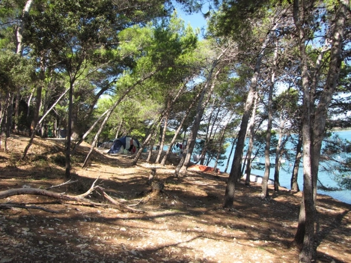 Tašalera - zdjęcie 1