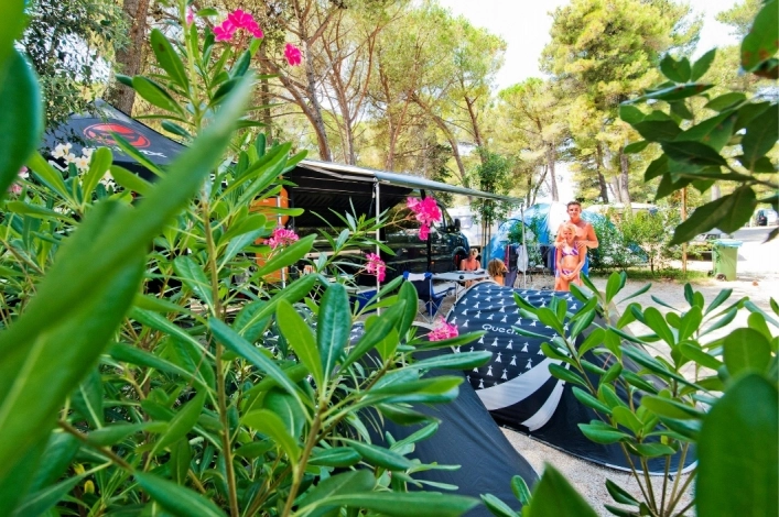 zobacz camping - zdjęcie 5