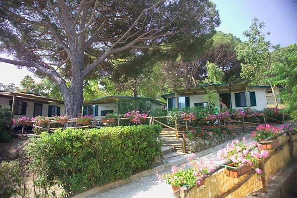 zobacz camping - zdjęcie 13