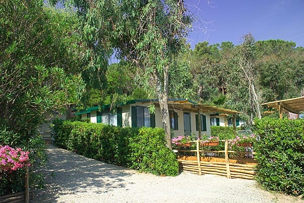 zobacz camping - zdjęcie 2