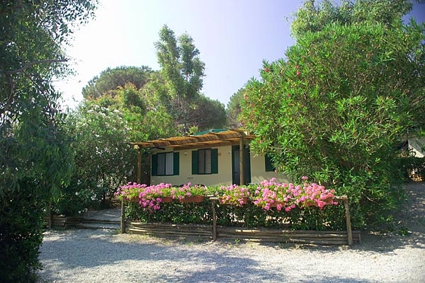 zobacz camping - zdjęcie 1