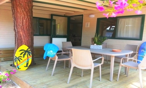 zobacz camping - zdjęcie 14