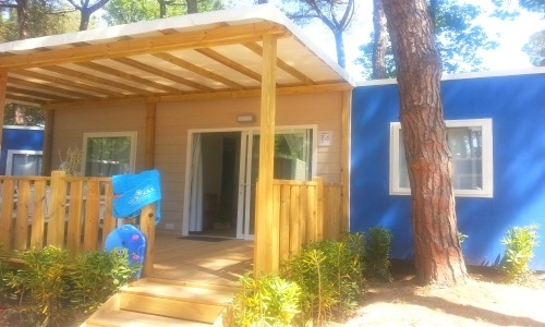 zobacz camping - zdjęcie 12