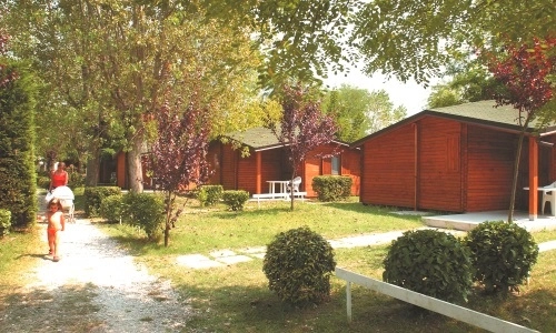 zobacz camping - zdjęcie 6