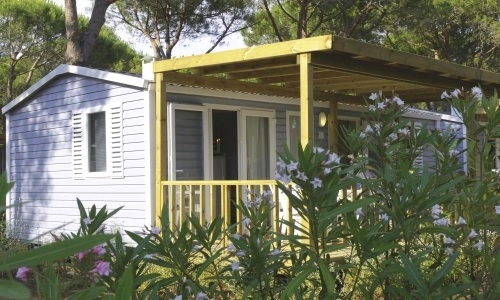 zobacz camping - zdjęcie 4