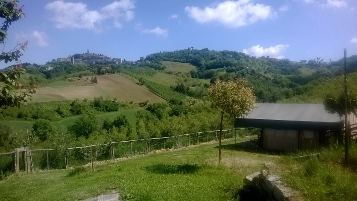 zobacz camping - zdjęcie 13