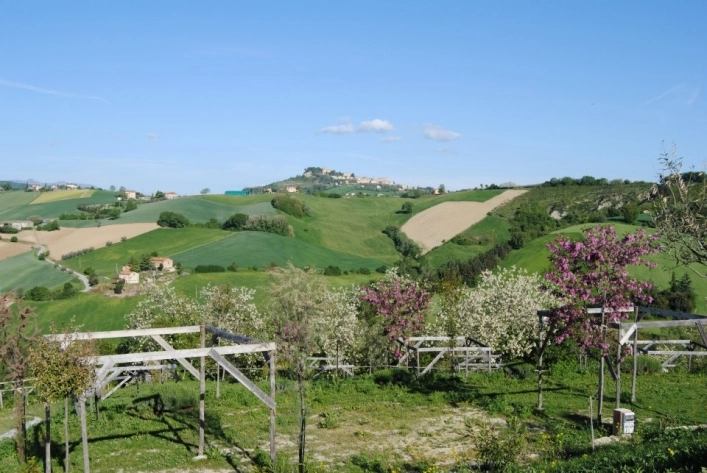 zobacz camping - zdjęcie 6