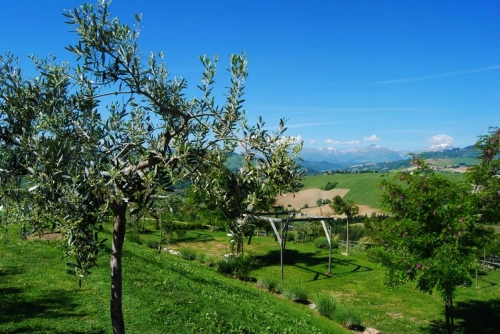 Agri Camping Tasteria - zdjęcie 4