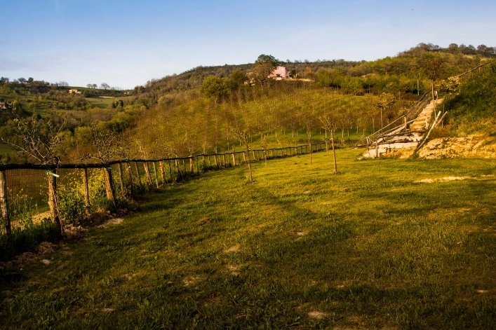 Agri Camping Tasteria - zdjęcie 3